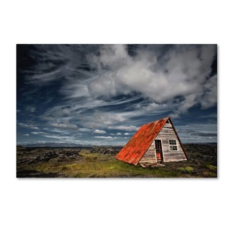 Trademark Fine Art Borsteinn H Ingibergsson 'Presto' Canvas Art, 16x24 1X03524-C1624GG